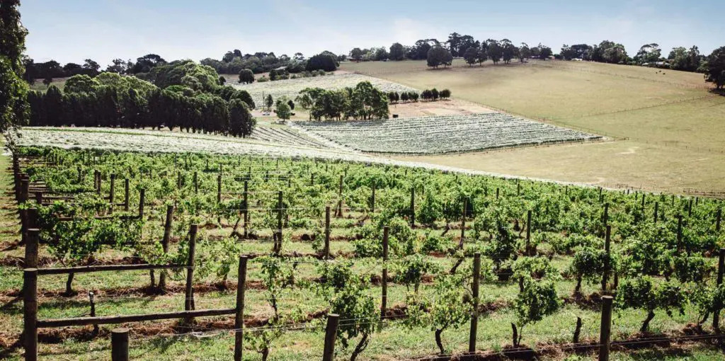 [Land for Sale] Bloomfield Warragul Estate, Nilma OpenLot